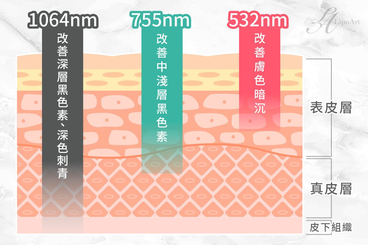 萊波亞