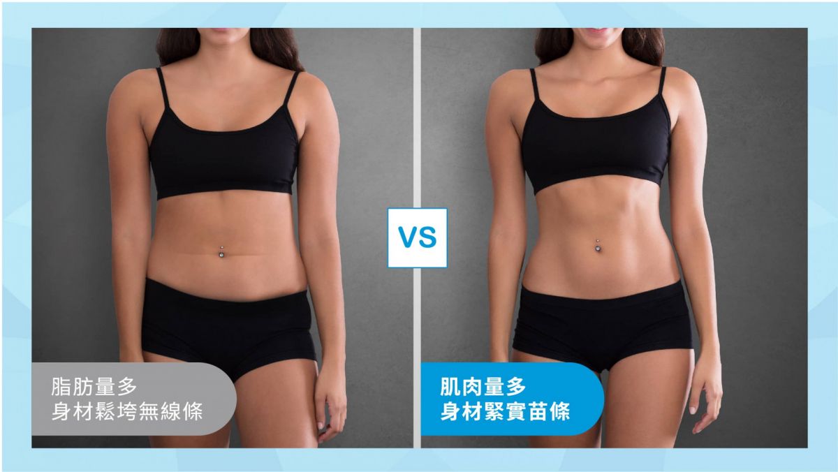 萊波亞