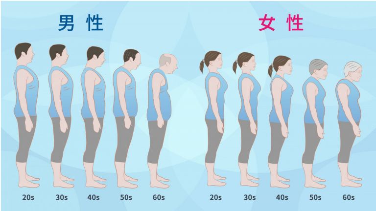 萊波亞