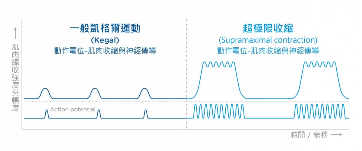 萊波亞