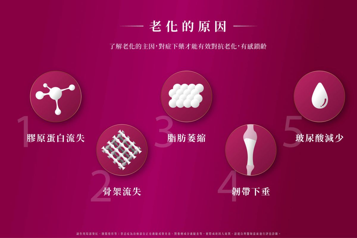 萊波亞