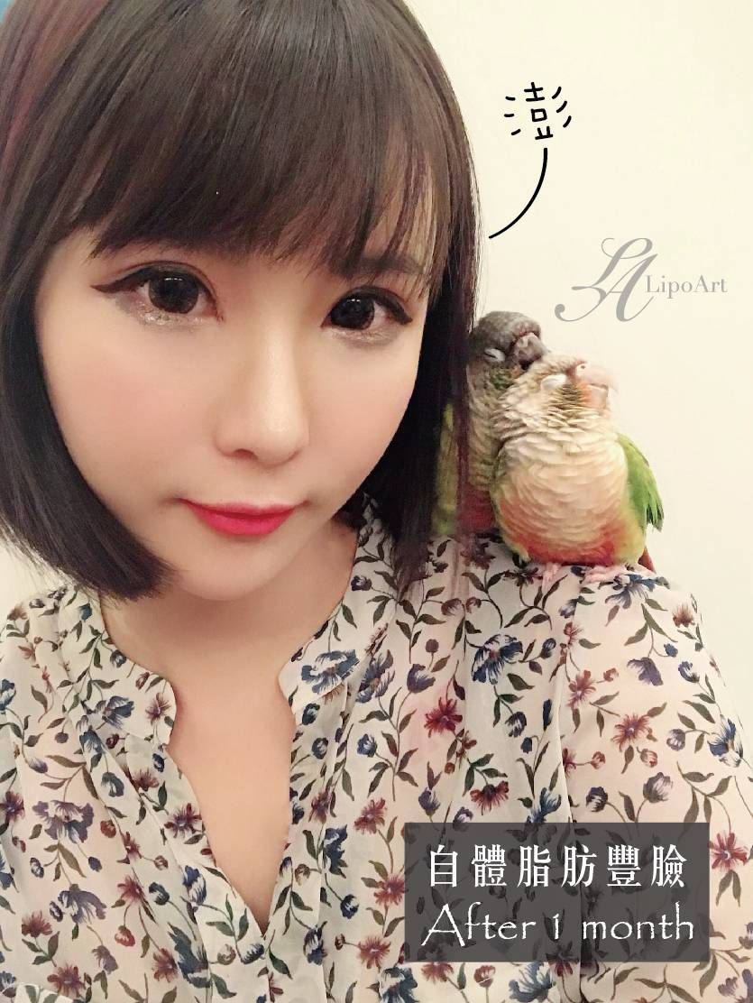 萊波亞