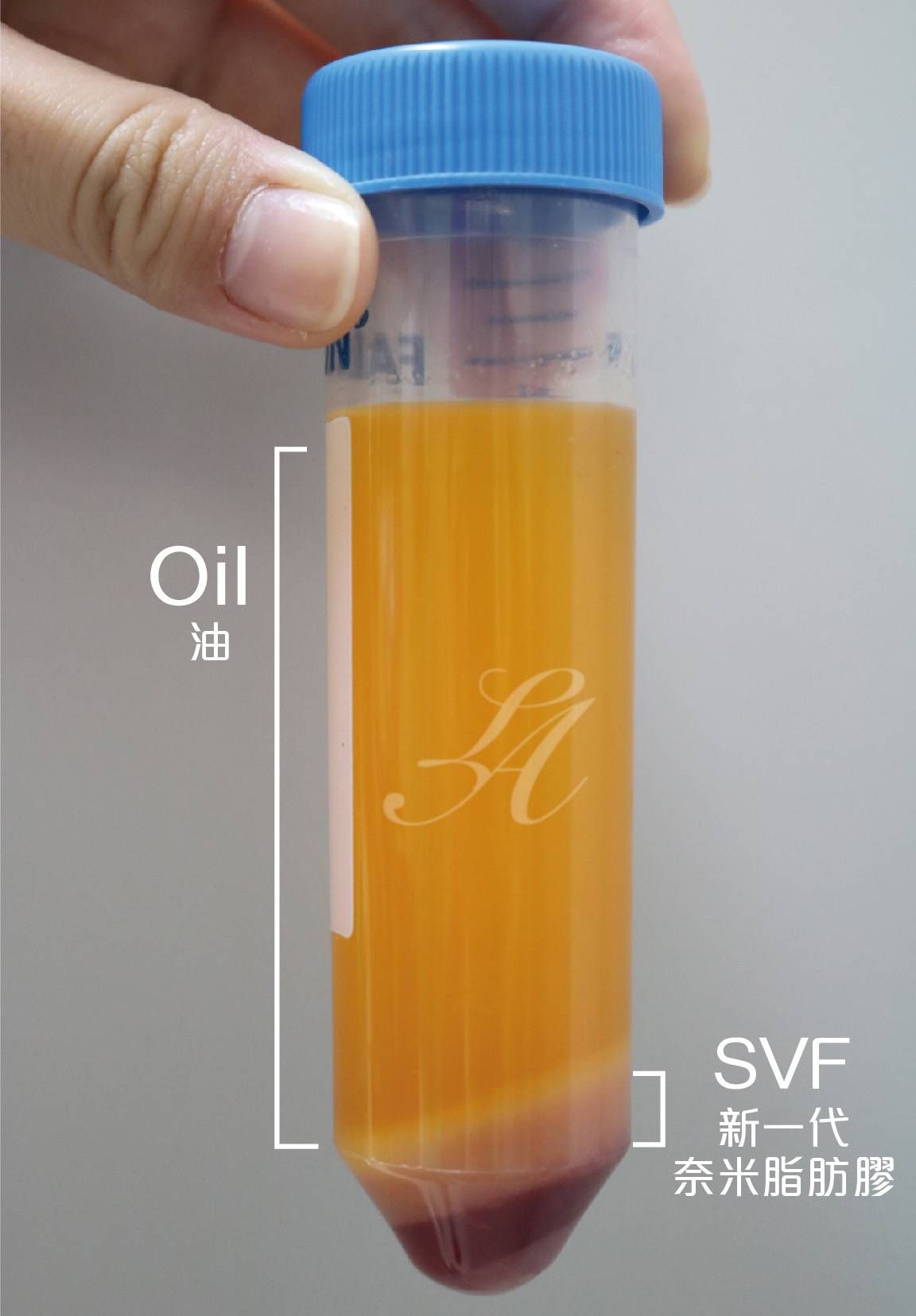 萊波亞