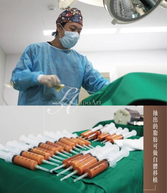 萊波亞
