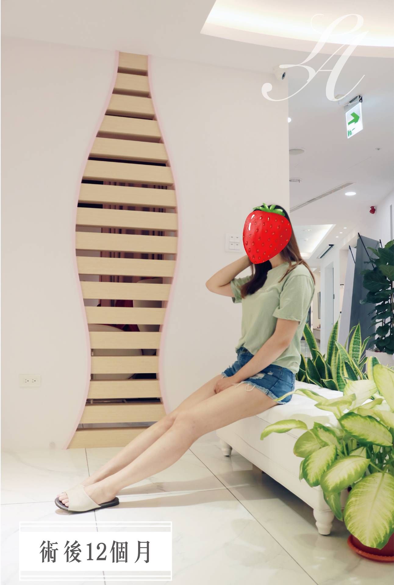 萊波亞