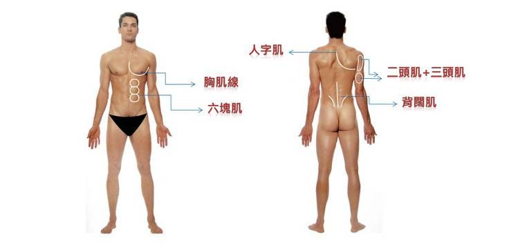 萊波亞