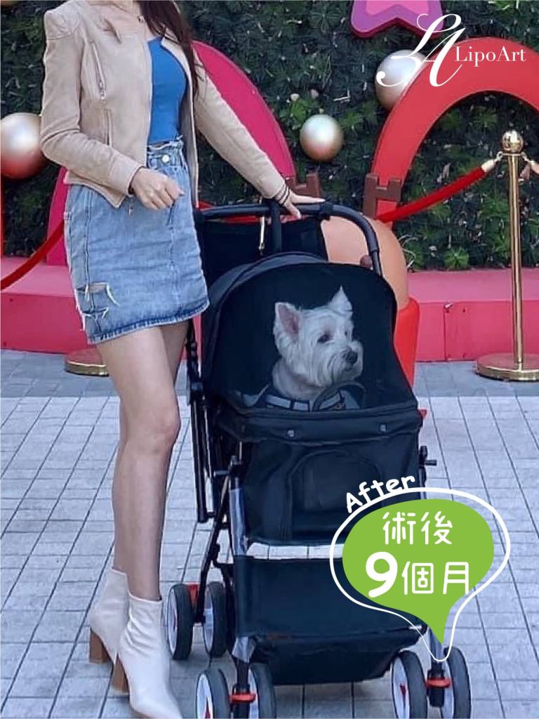 萊波亞