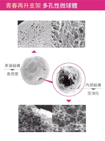 萊波亞