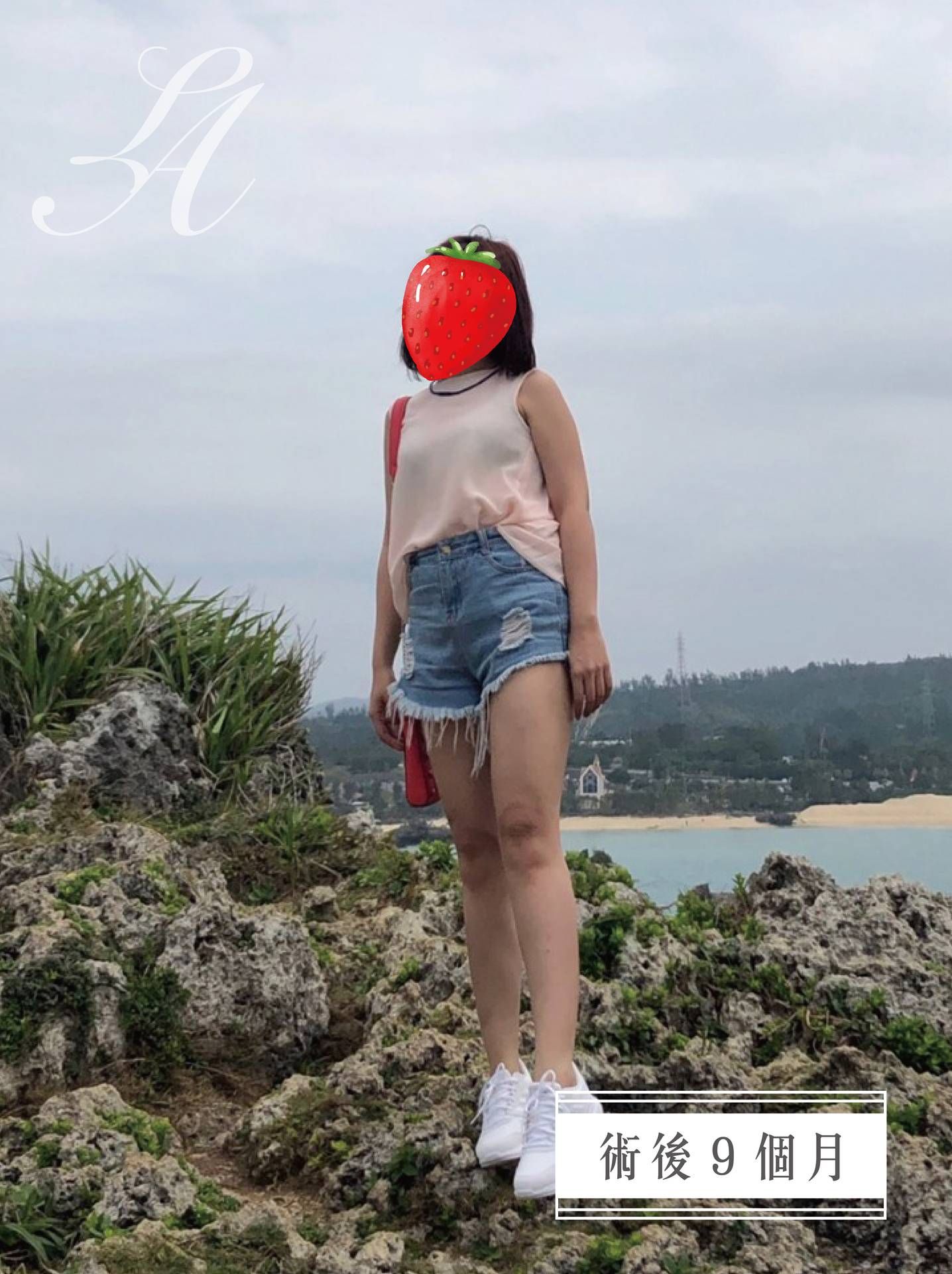 萊波亞