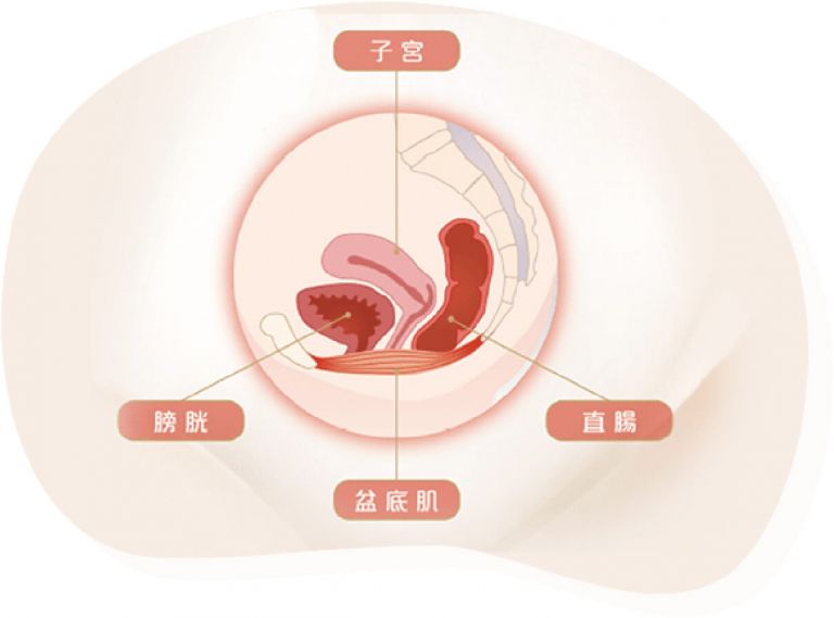 萊波亞