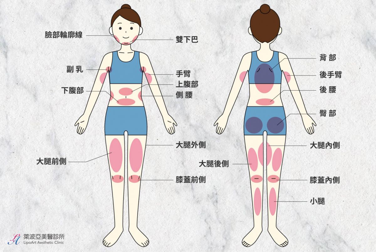 萊波亞