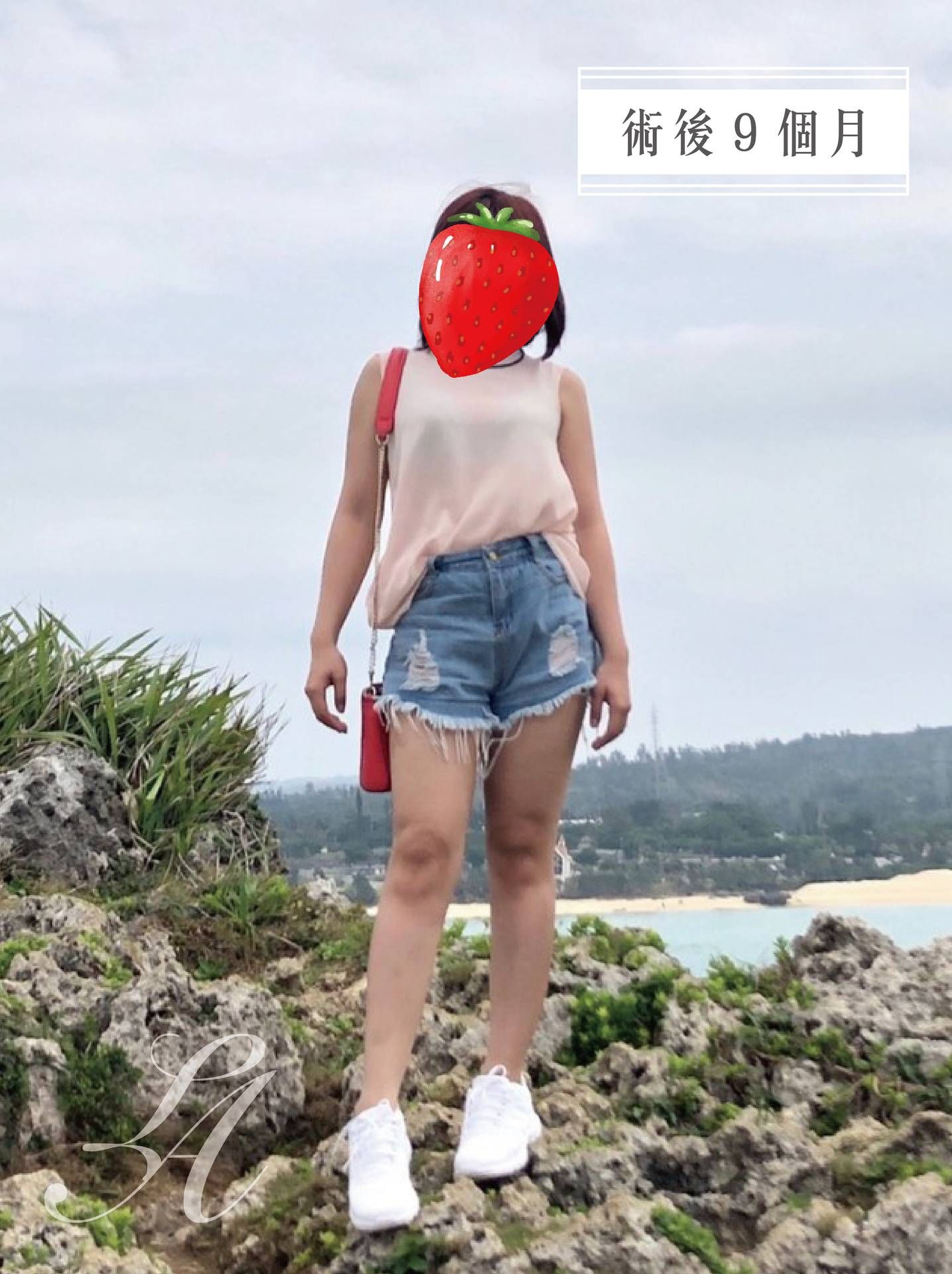 萊波亞