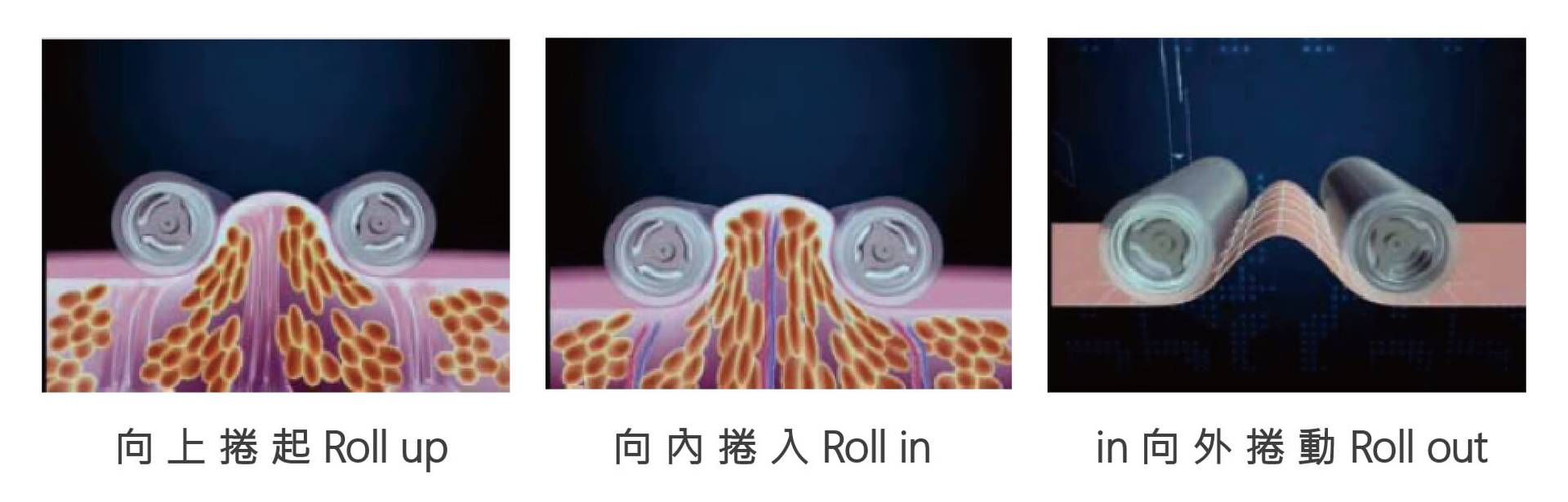 萊波亞