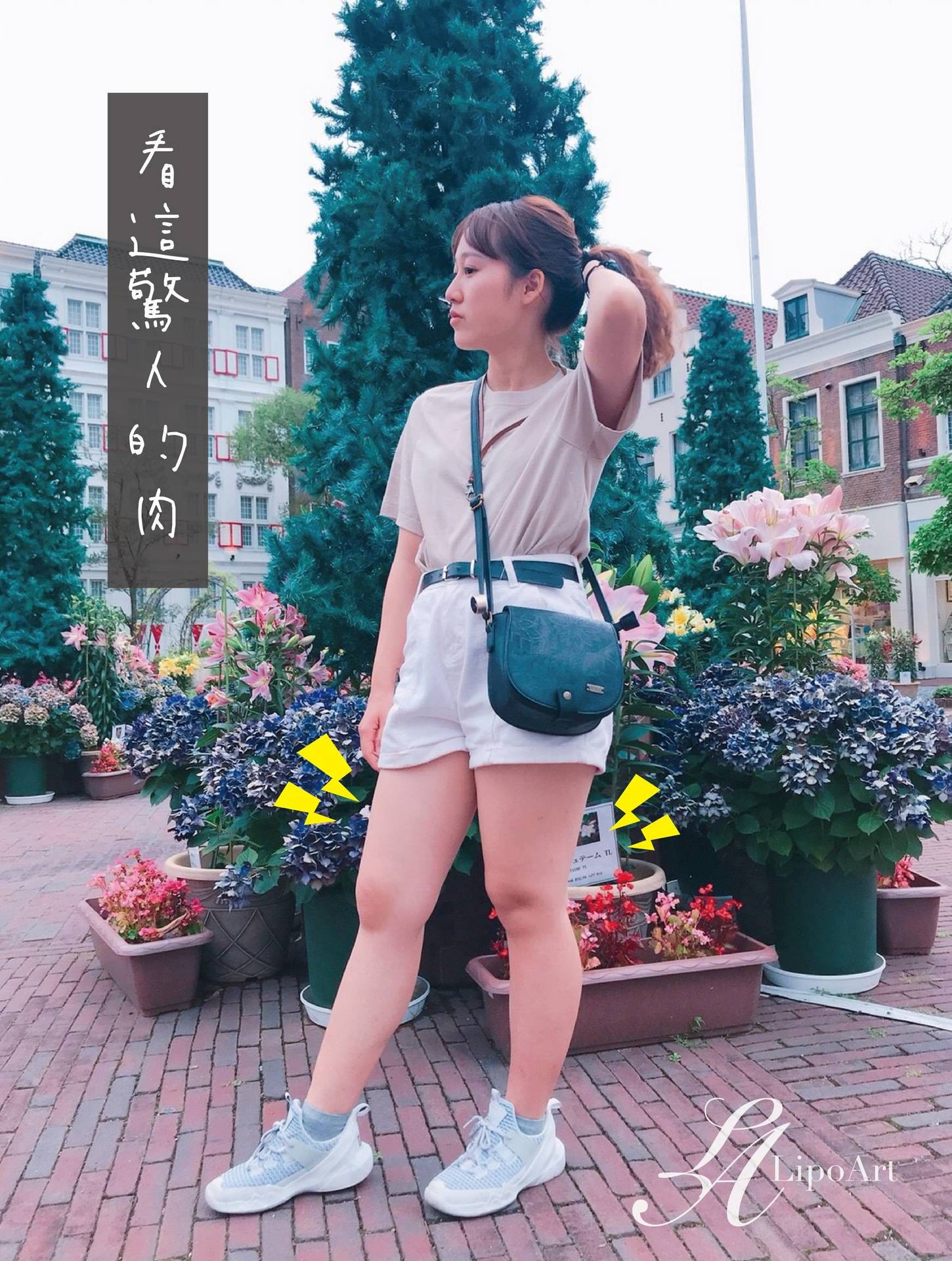 萊波亞
